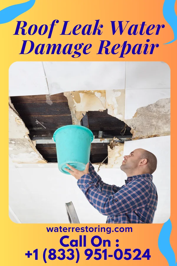 Roof Leak Water Damage Repair in Indianola, IL